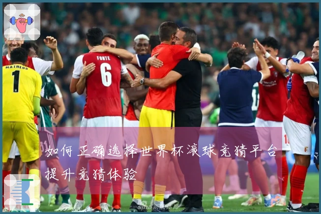 如何正确选择世界杯滚球竞猜平台提升竞猜体验