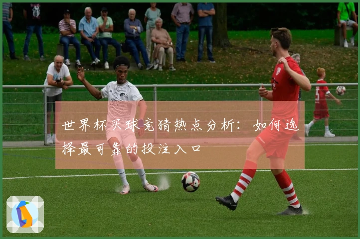 世界杯买球竞猜热点分析：如何选择最可靠的投注入口