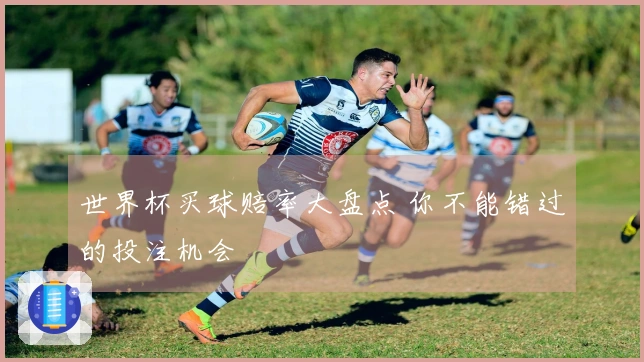 世界杯买球赔率大盘点 你不能错过的投注机会