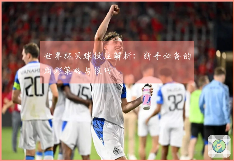 世界杯买球投注解析：新手必备的购彩策略与技巧