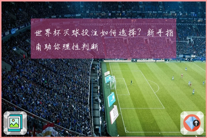 世界杯买球投注如何选择？新手指南助你理性判断