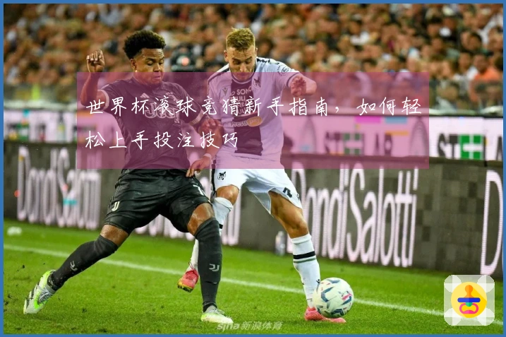 世界杯滚球竞猜新手指南，如何轻松上手投注技巧